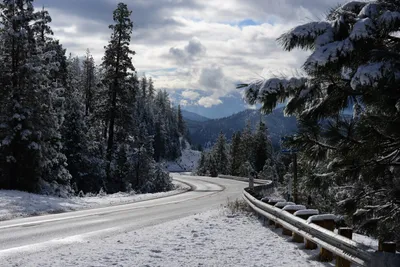 DSC_0773 (Large).JPG